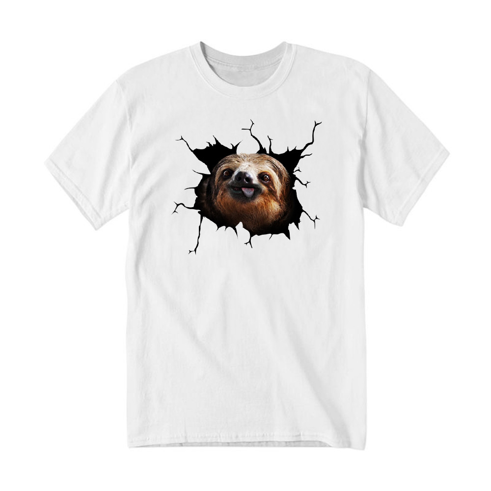 Sloth Came Out Shirt Sloth Tee Shirt Cute Graphic Unisex Gift For Brothers Idea